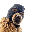 Ski Mask Dog Kurs